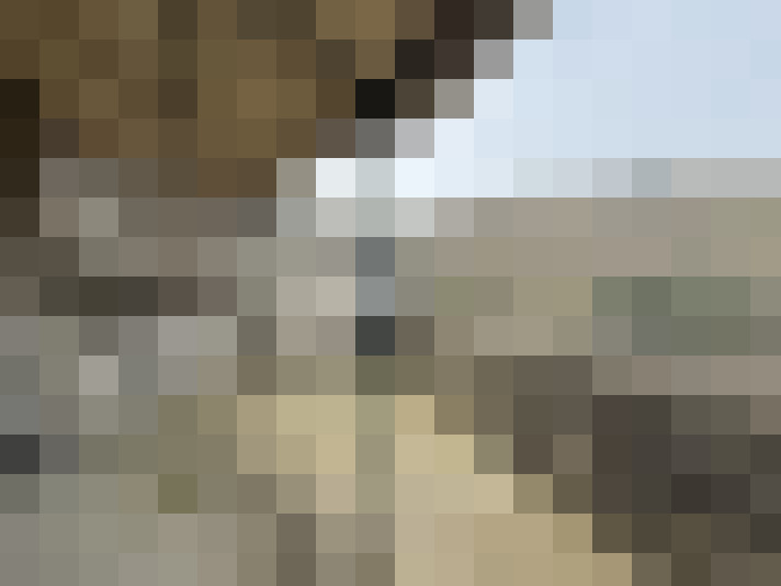  / #7