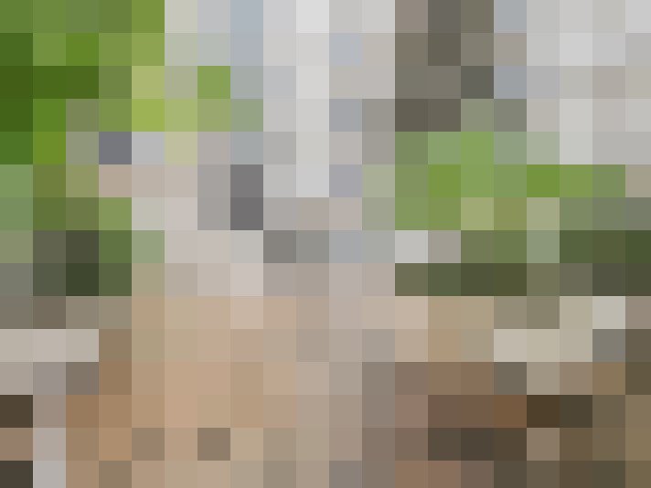  / #18