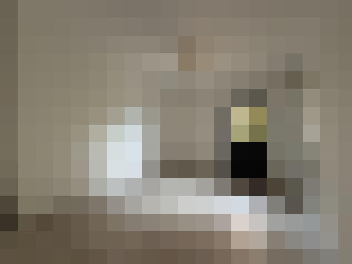  / #15