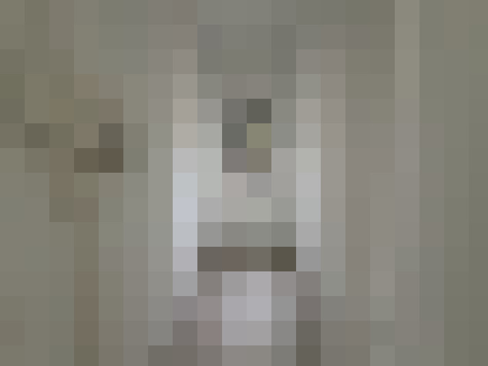  / #16