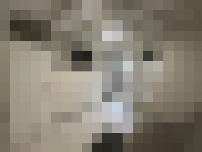 / #6