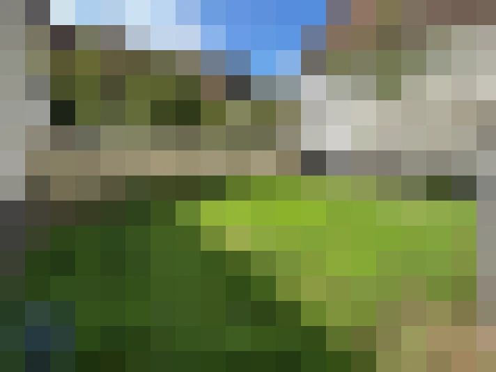 / #8