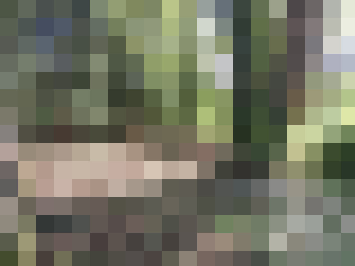  / #15