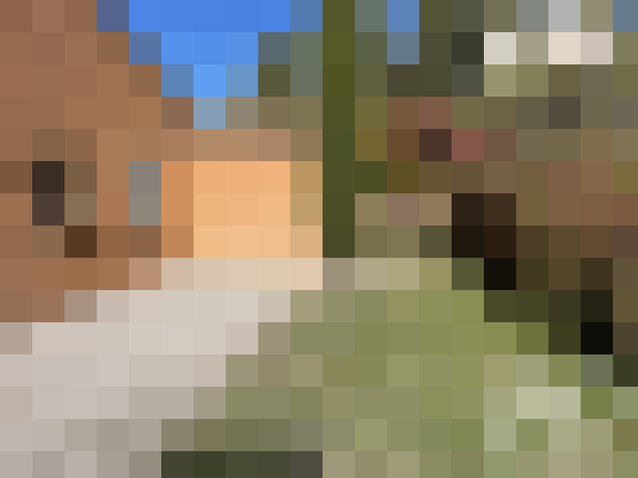  / #20