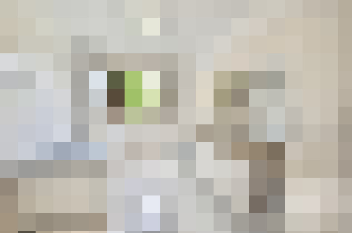  / #13