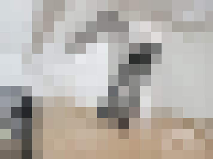  / #17