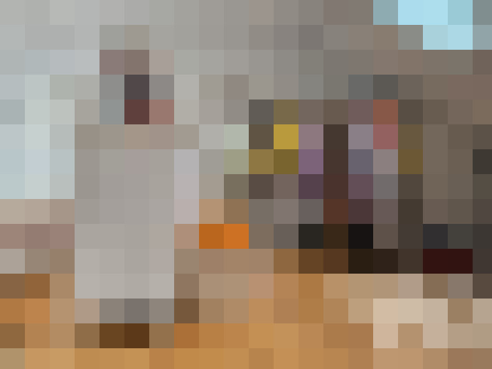  / #23