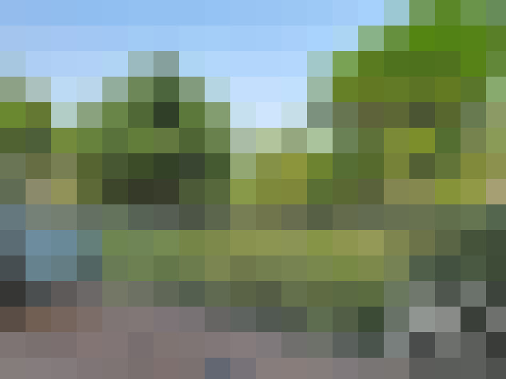  / #16
