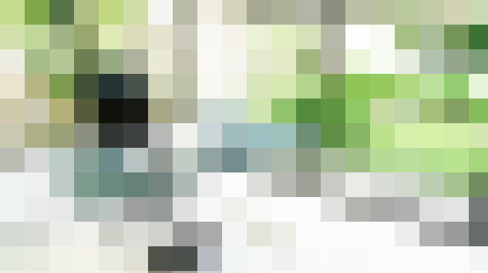  / #40