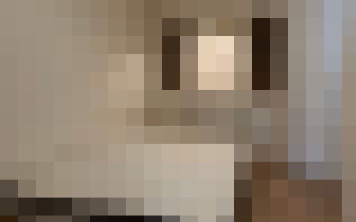  / #11