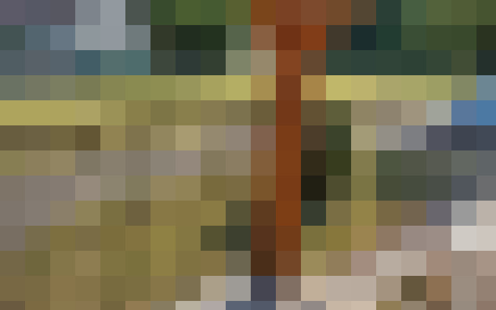  / #31