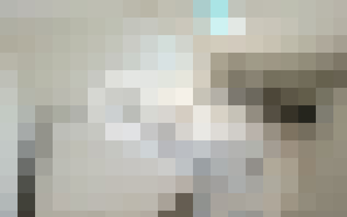  / #19