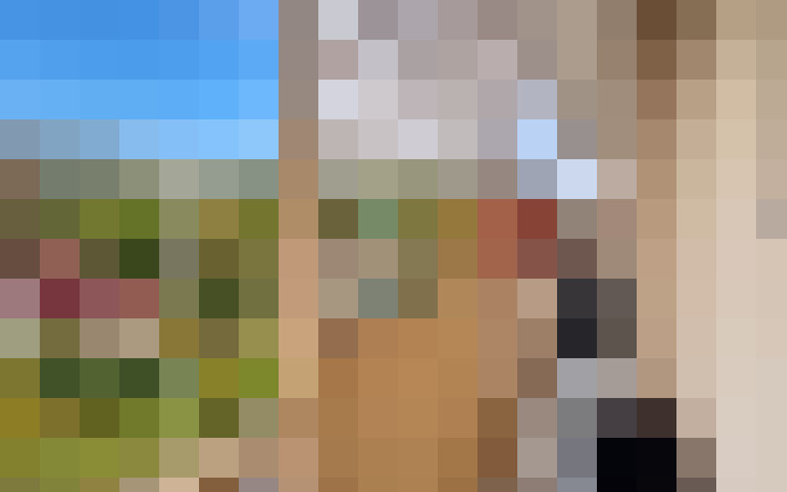  / #15