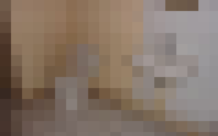  / #21