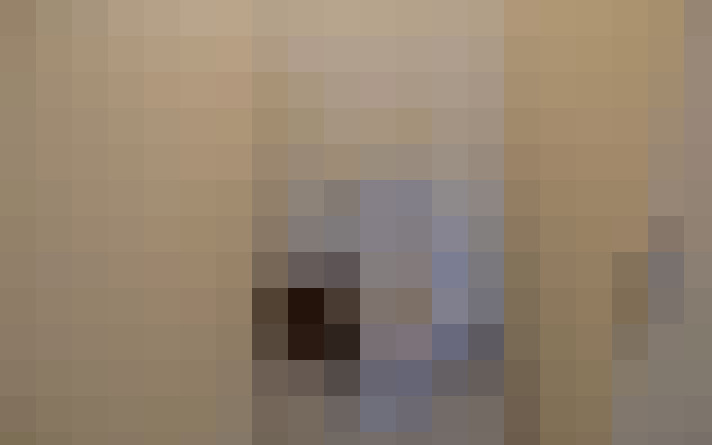  / #11