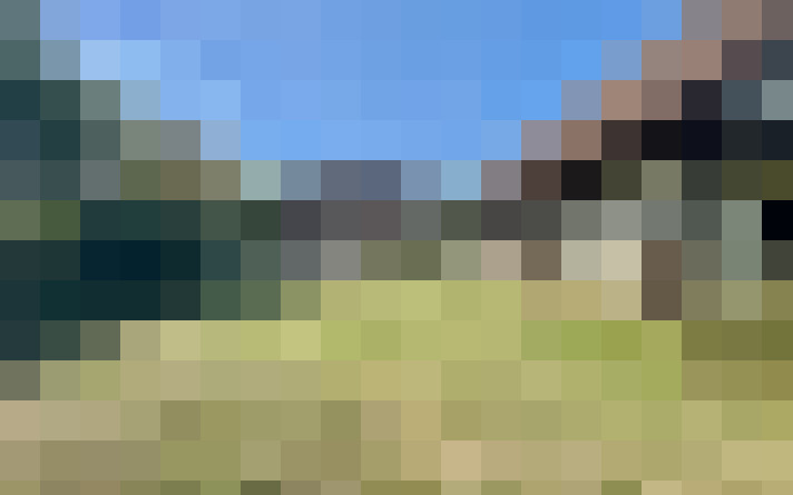 / #15