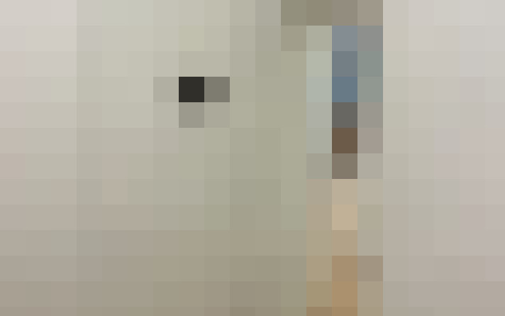  / #15