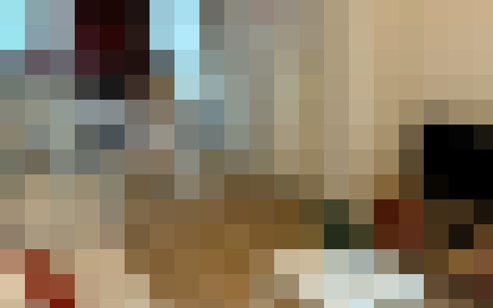  / #19
