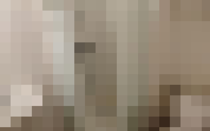  / #7