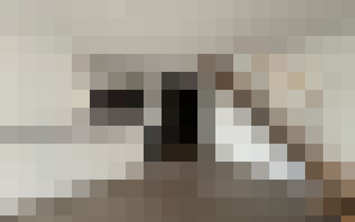  / #15