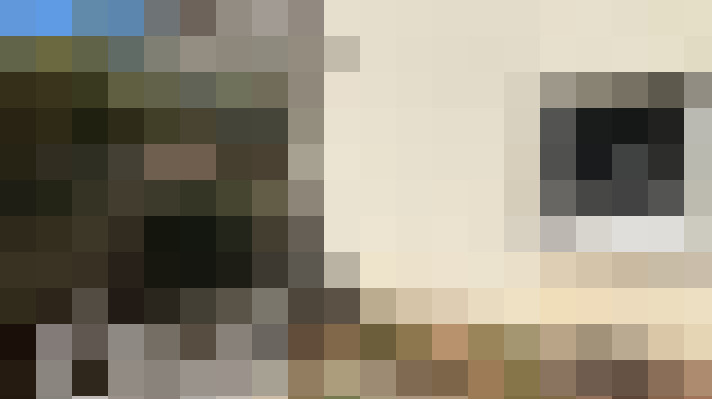  / #13