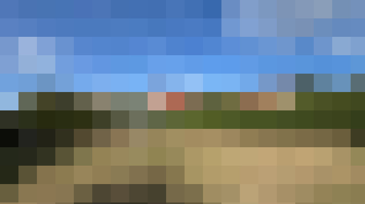  / #15