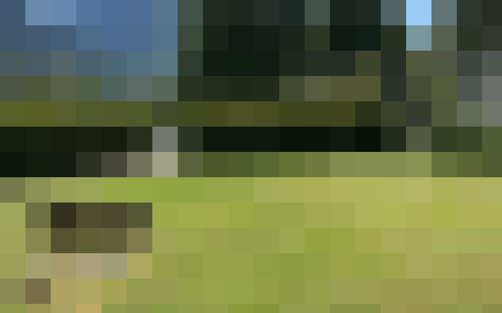  / #15