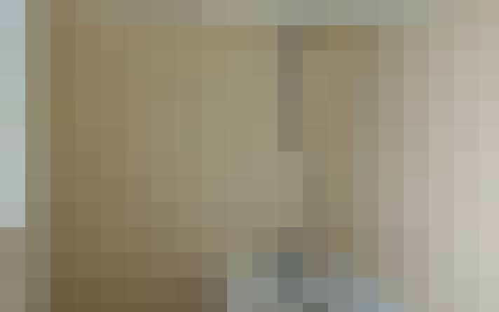  / #19