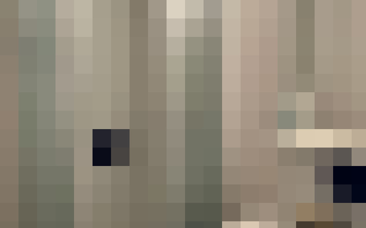  / #15