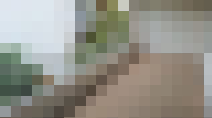  / #17