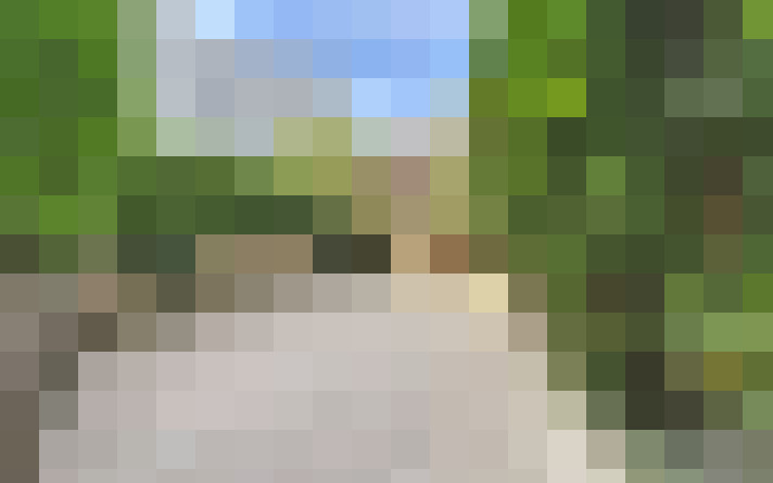  / #19