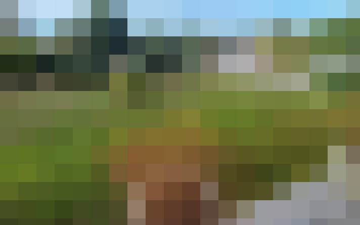  / #19