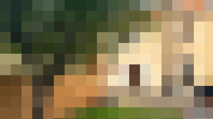  / #16