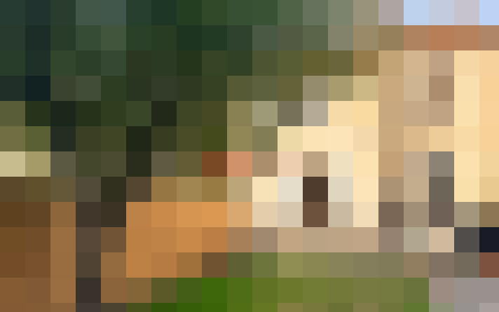  / #15