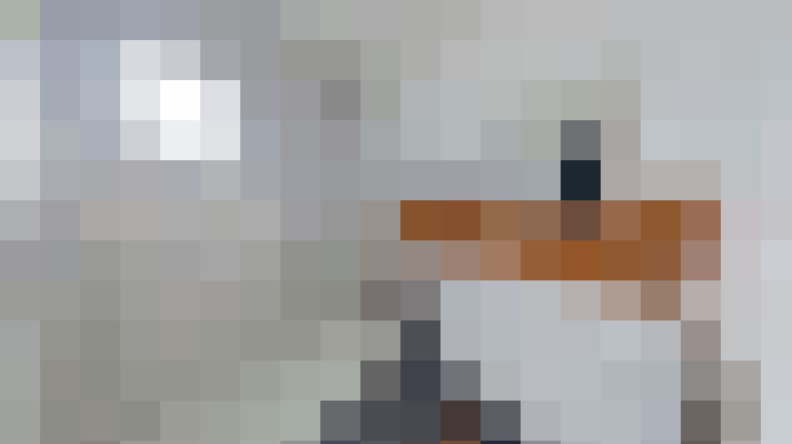  / #8