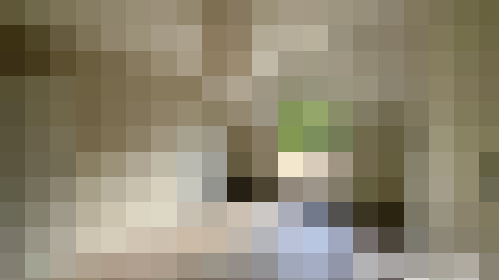  / #24
