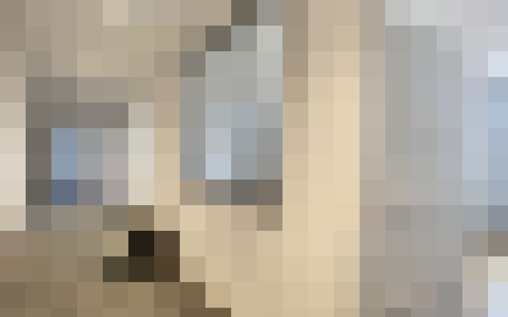  / #15