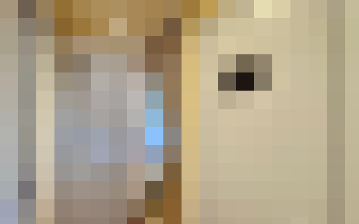  / #29