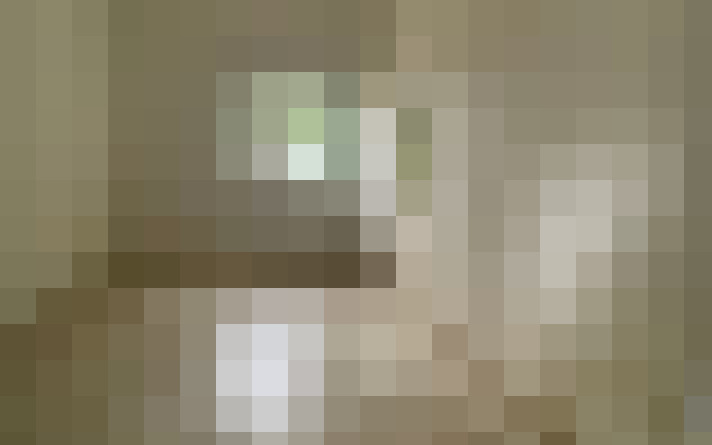  / #7
