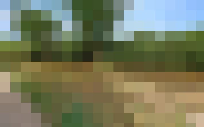  / #17