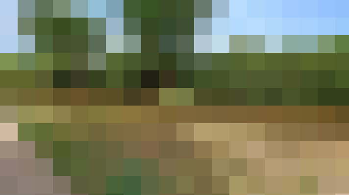  / #18