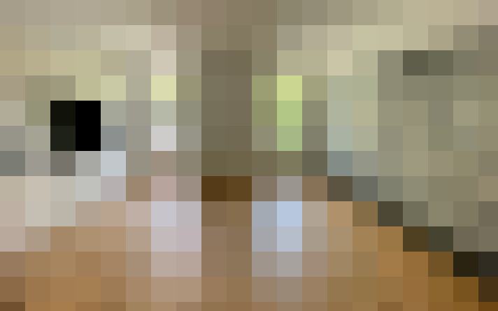  / #17