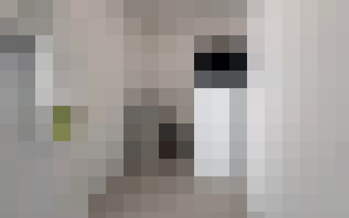  / #11