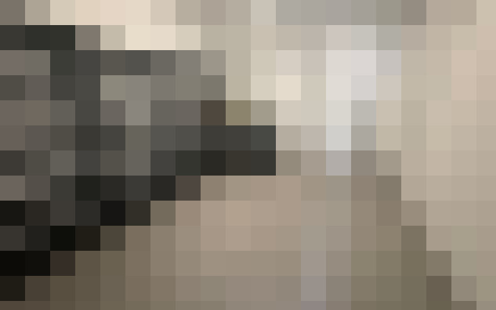  / #19