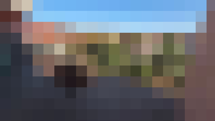  / #11