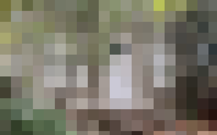  / #17