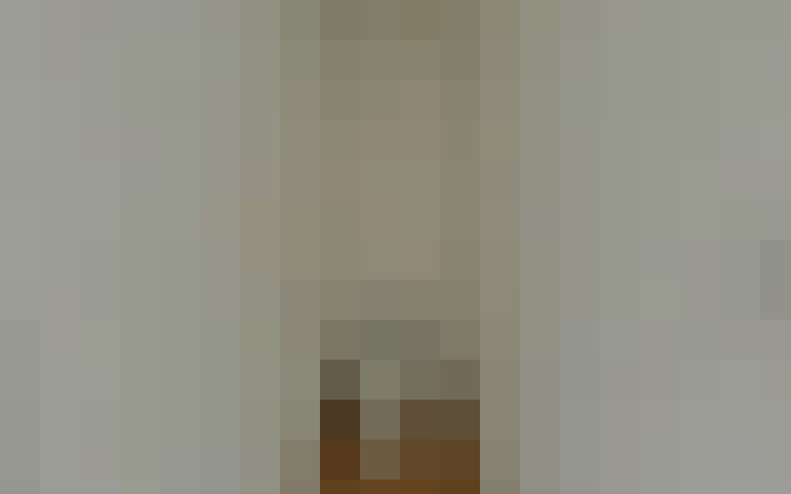  / #19