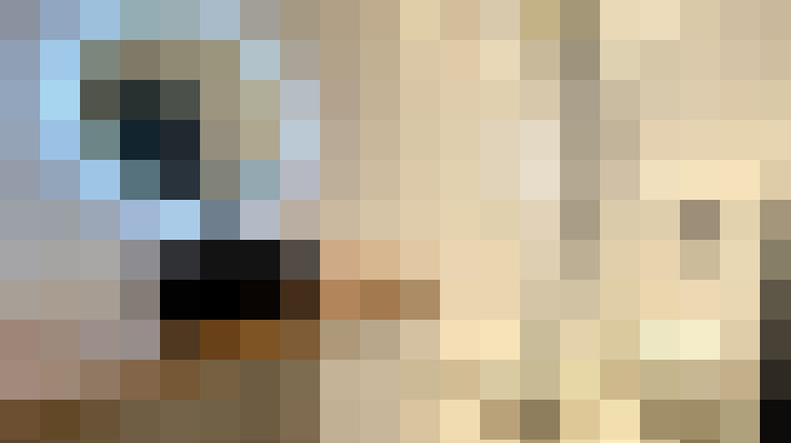  / #4