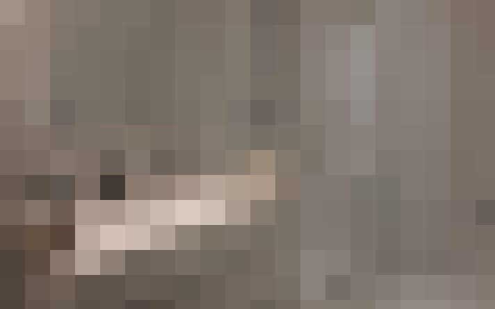  / #17