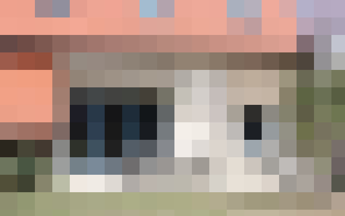  / #15